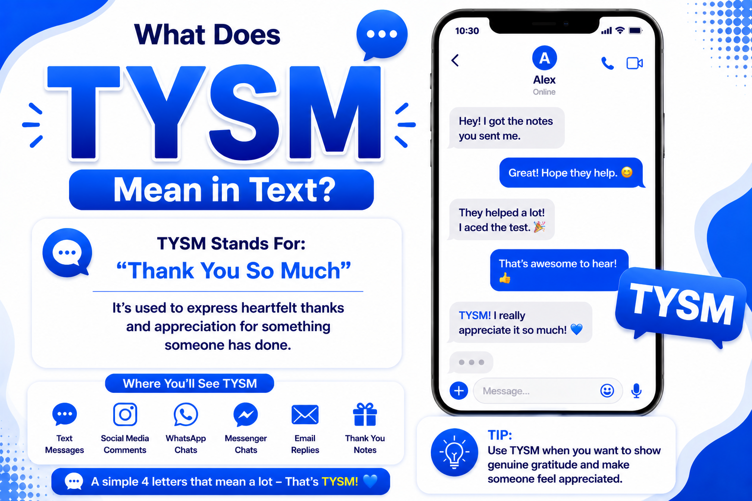 TYSM Mean in Text