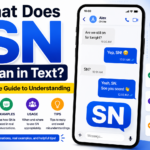 SN Meaning in Text