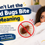 Don’t Let the Bed Bugs Bite Meaning