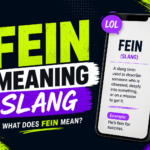 FEIN Meaning Slang