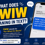 FWIW Meaning in Text