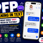 PFP Meaning in Text