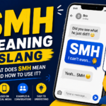 SMH Meaning Slang
