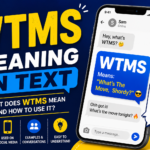 WTMS Meaning in Text