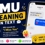 imu meaning in text