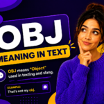 obj meaning in text