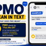 PMO Mean in Text
