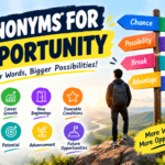 Synonyms for Opportunity